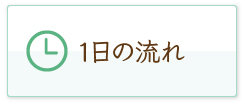 １日の流れ