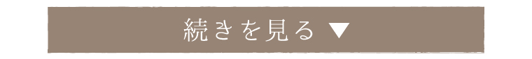 続きを見る