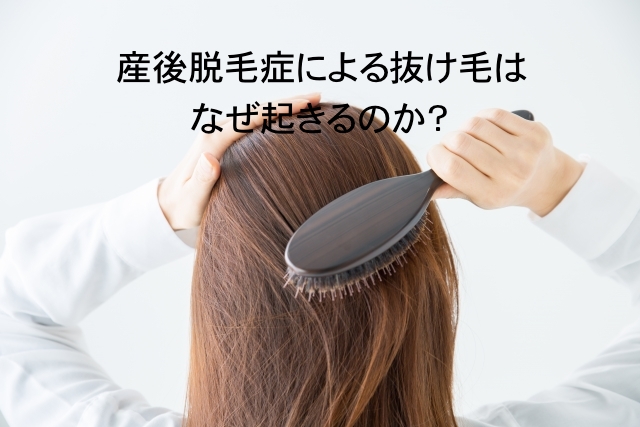 産後脱毛症による抜け毛はなぜ起きるのか？