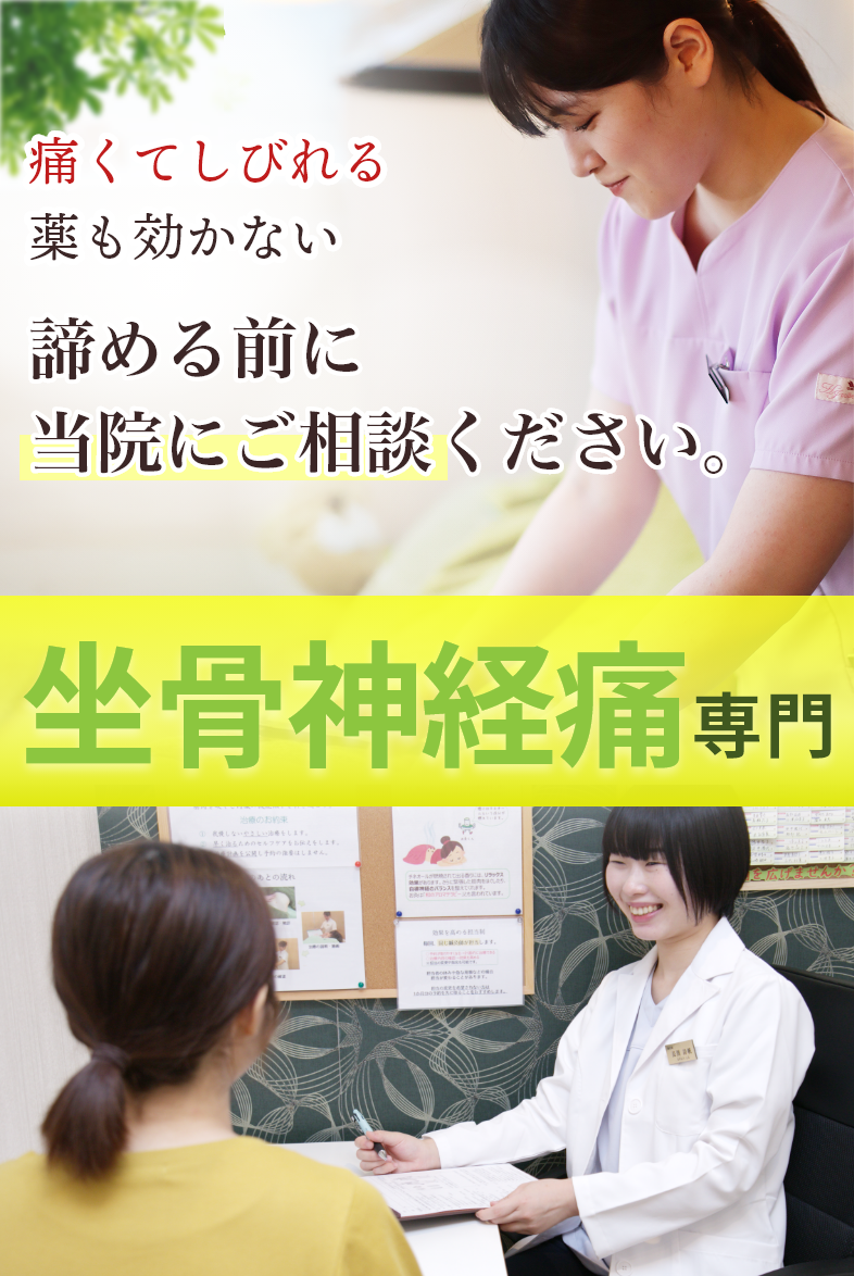 坐骨神経痛専門