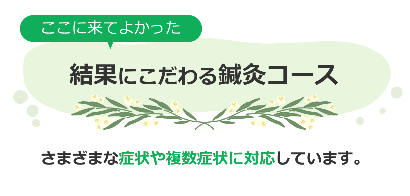 ここに来てよかった 結果にこだわる鍼灸コース さまざまな症状や複数症状に対応しています。