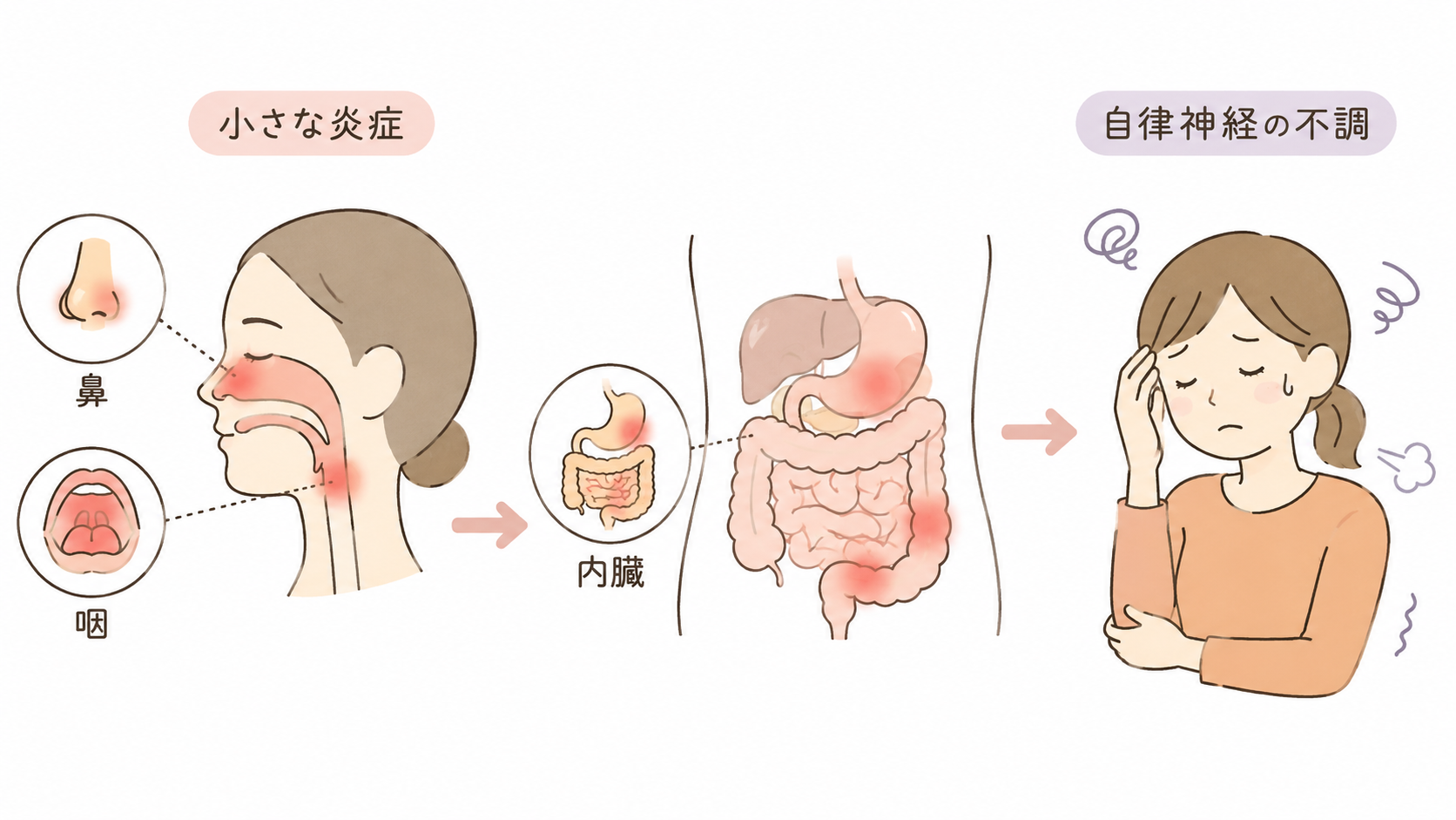 鼻や咽、内臓の小さな炎症が自律神経の不調につながることを示した図